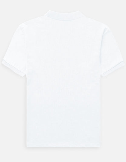 Back_3_c_1.jpg